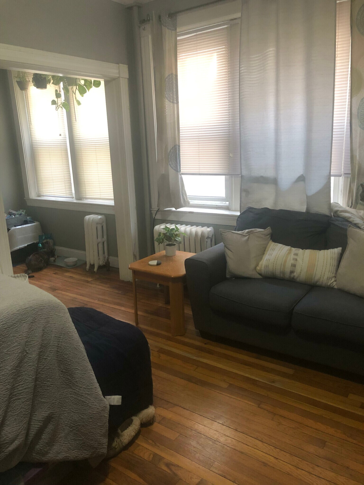 Building Photo - 41C Symphony Rd