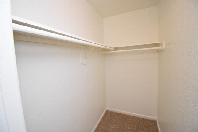 Building Photo - 4040 San Felipe St