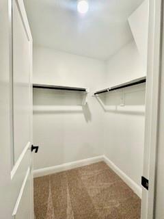 Building Photo - 1701 Nightshade Ln