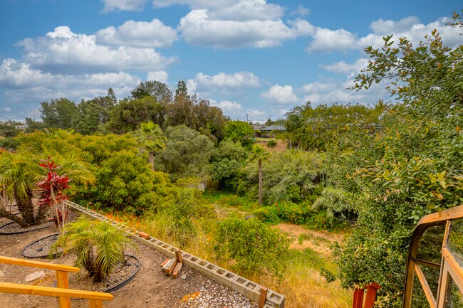 Backyard View - 4338 Mount Elbrus Ct