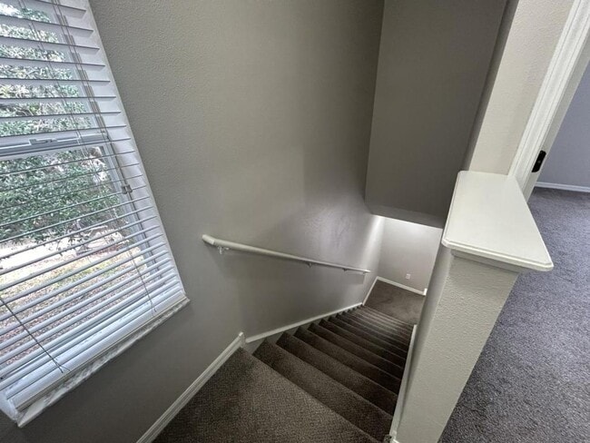 Building Photo - 15835 Fishhawk Falls Dr