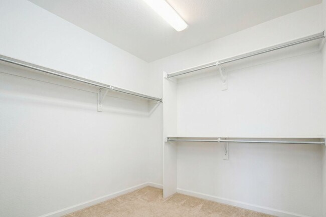Building Photo - Exceptional 5-Bedroom Home Steps from the University of Denver