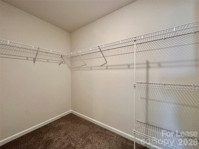 Building Photo - 1603 Blue Velvet Ln