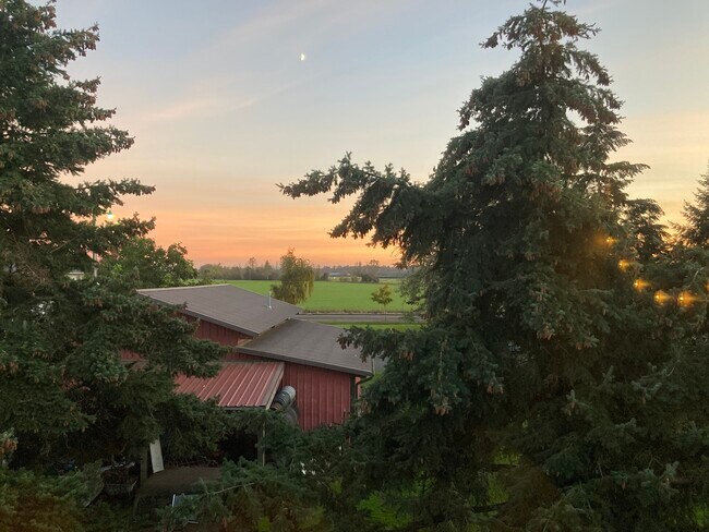 View from Primary Bedroom (Summer2022) - 832 Umpqua St