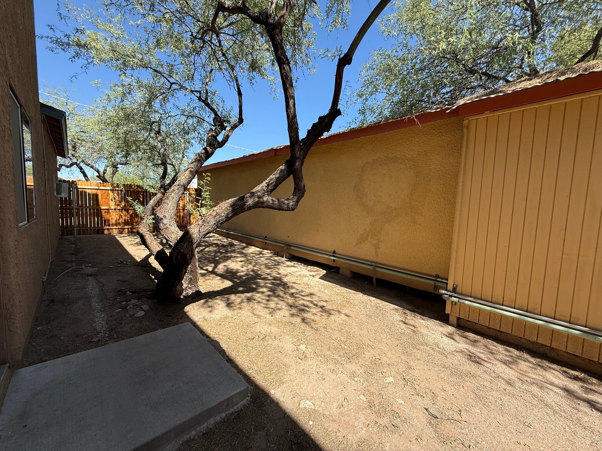 Building Photo - 1728 N Santa Rita Ave