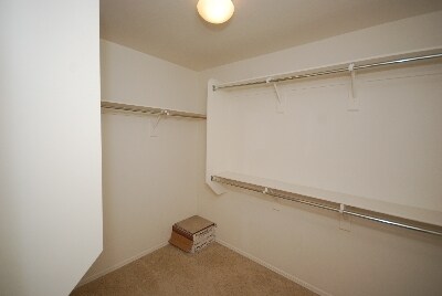 Building Photo - 768 West Calle Valenciana