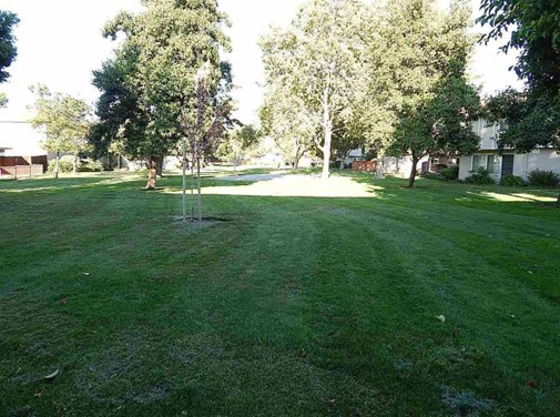 Building Photo - 4861 Saginaw Cir