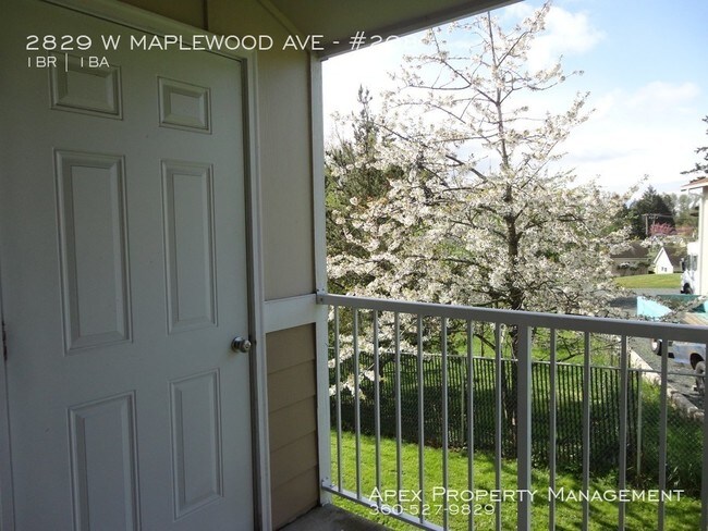 Building Photo - NORTH - Aspen Villas