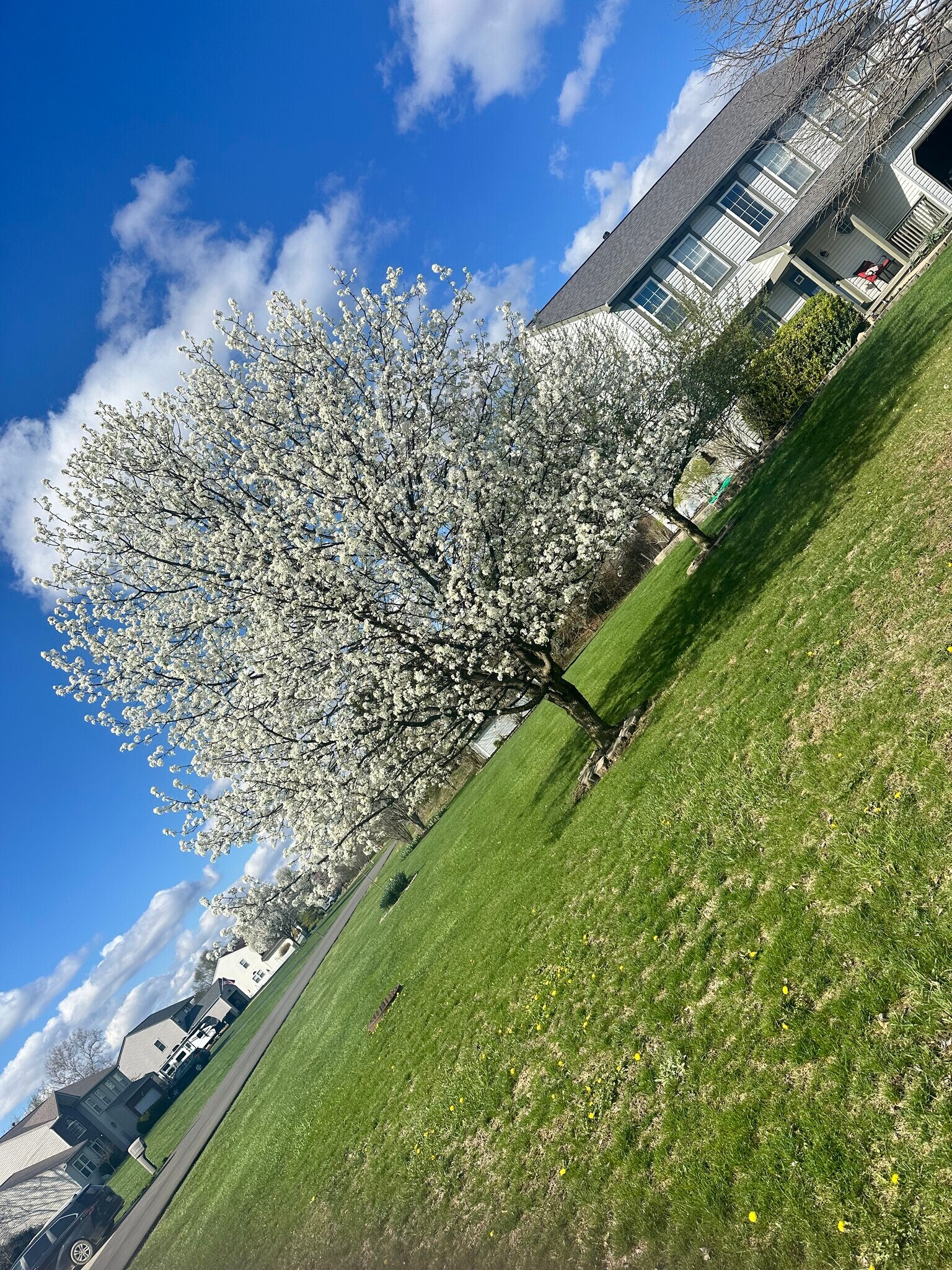 Building Photo - 2615 Lincolnshire Dr