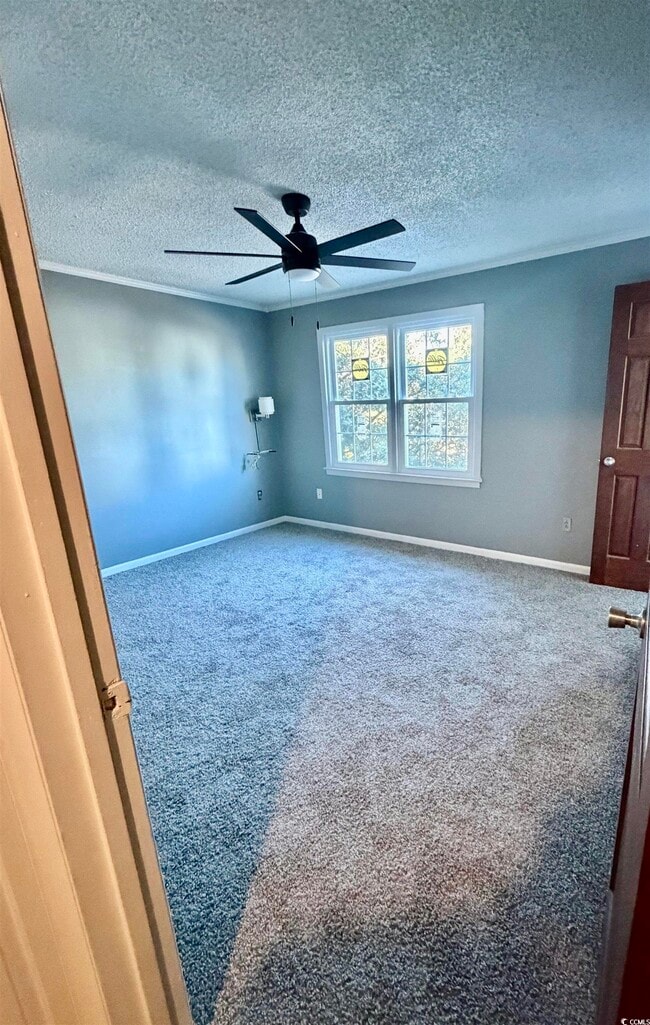 Building Photo - 4115 Little River Rd