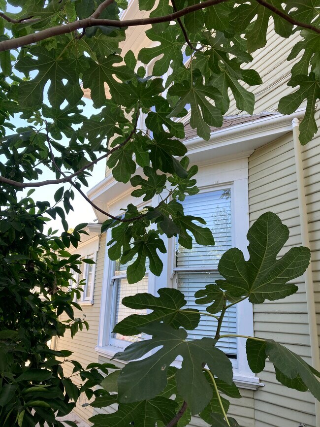 Building Photo - 1610 California St