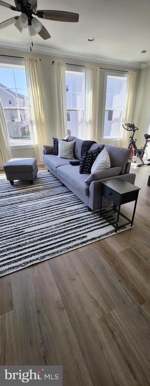 Building Photo - 219 Willis St