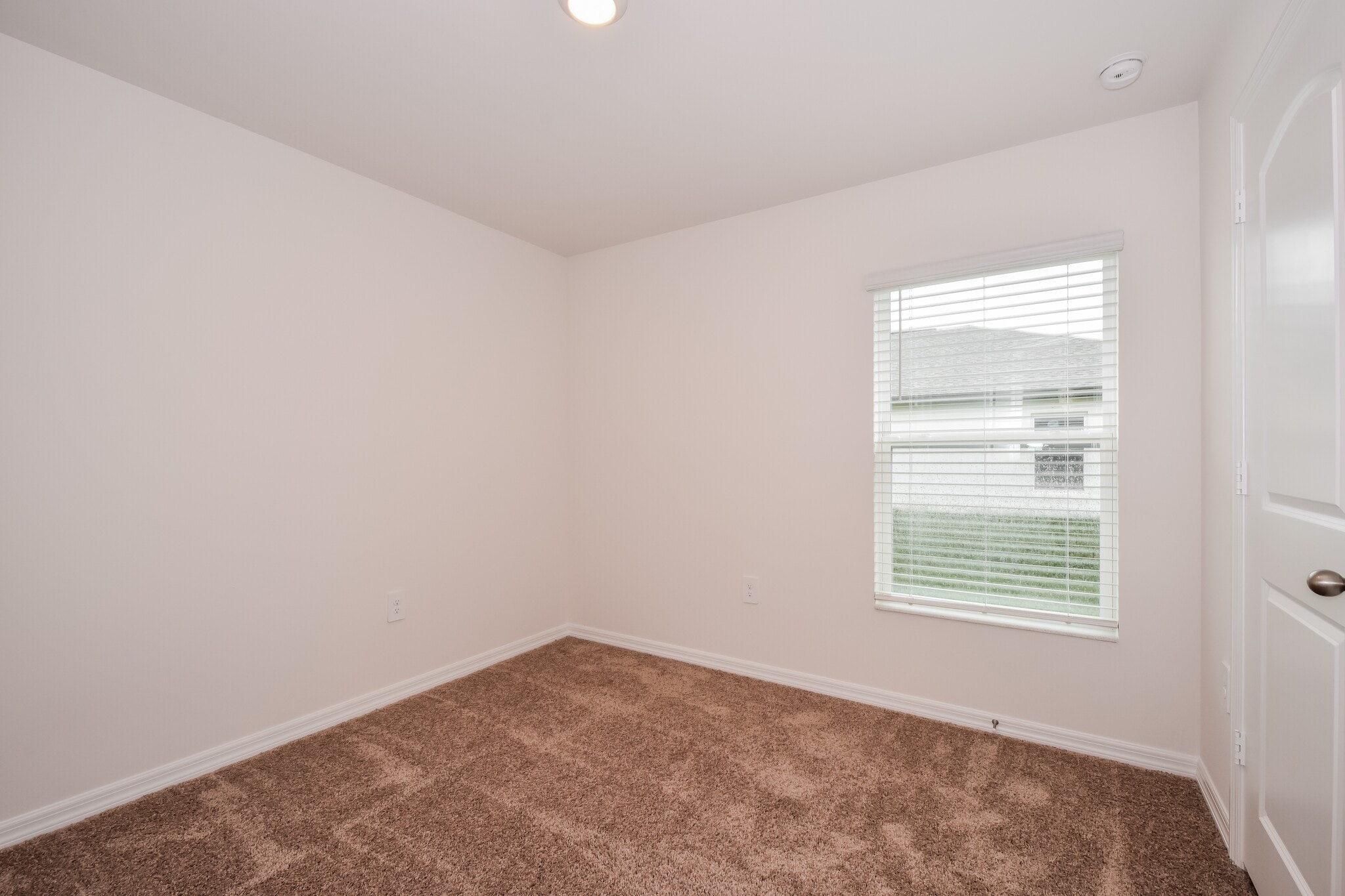 Building Photo - 871 Youngreen Dr