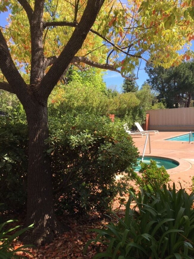 Building Photo - LOS GATOS  - Town House with designer upda...