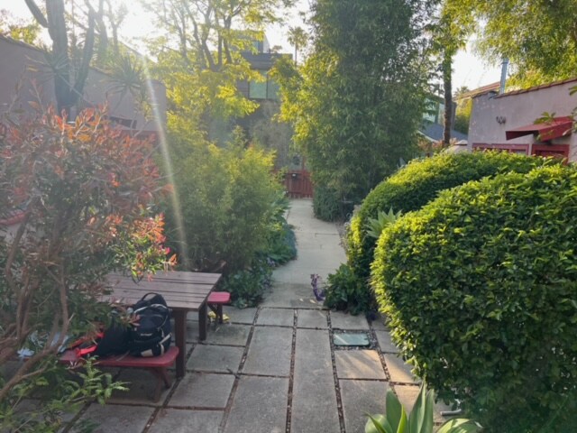 Common Area Yard (one of several yard areas) - 928 Marco Pl