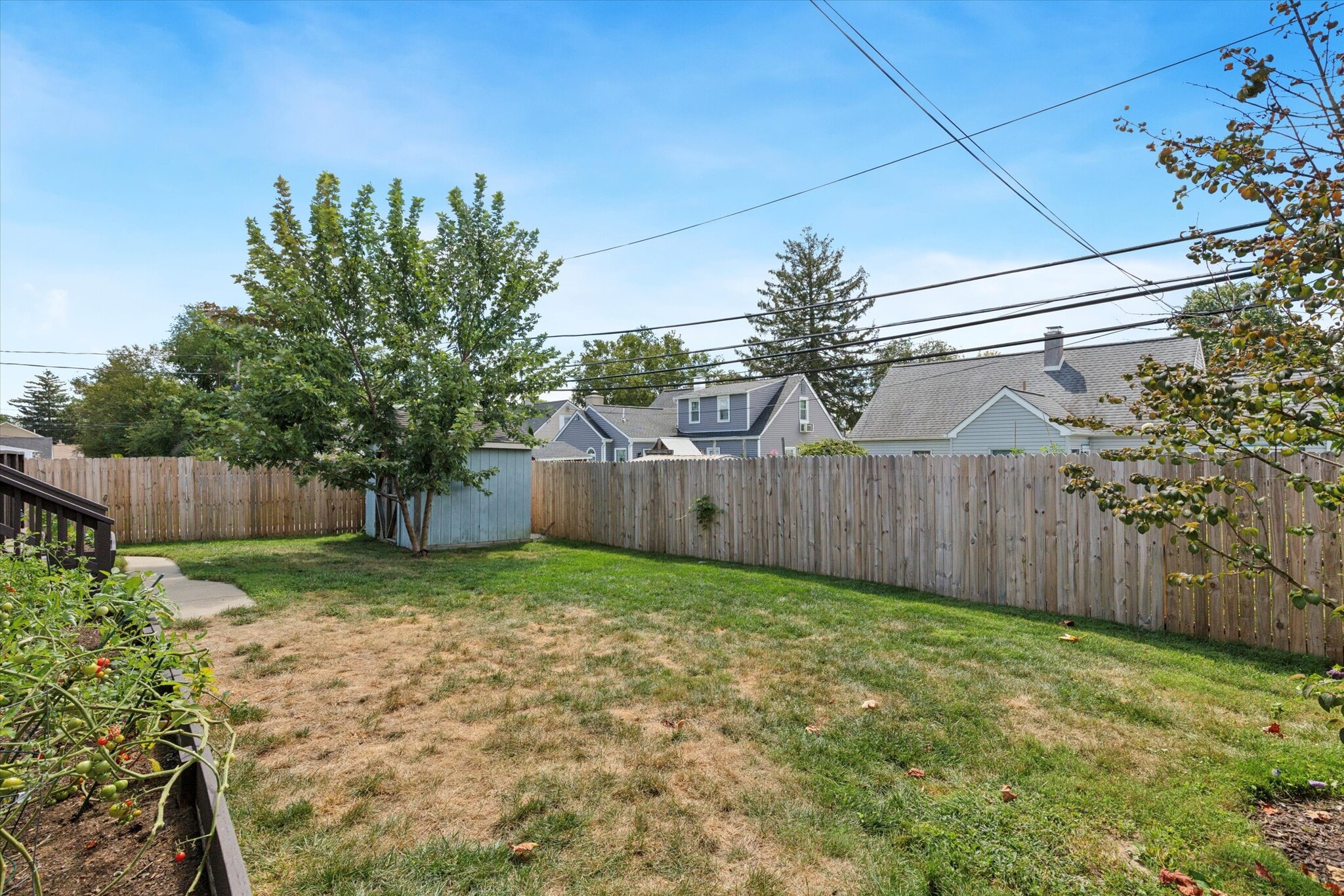 Backyard - 404 Exton Rd