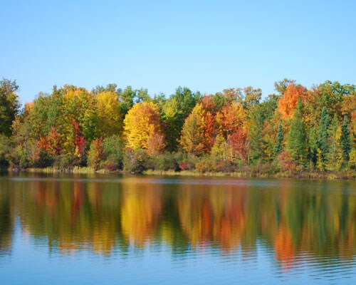 Building Photo - 293 Sumac Ln