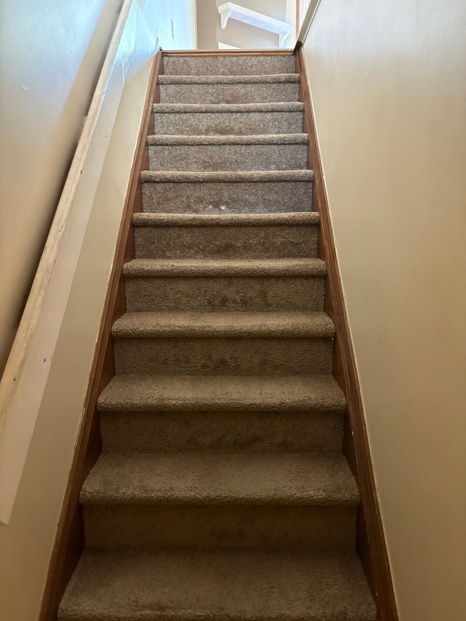 Downstairs Staircase - 206 Macfalls Way