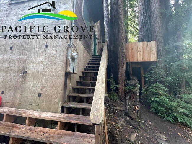 Building Photo - Cabin on Palo Colorado