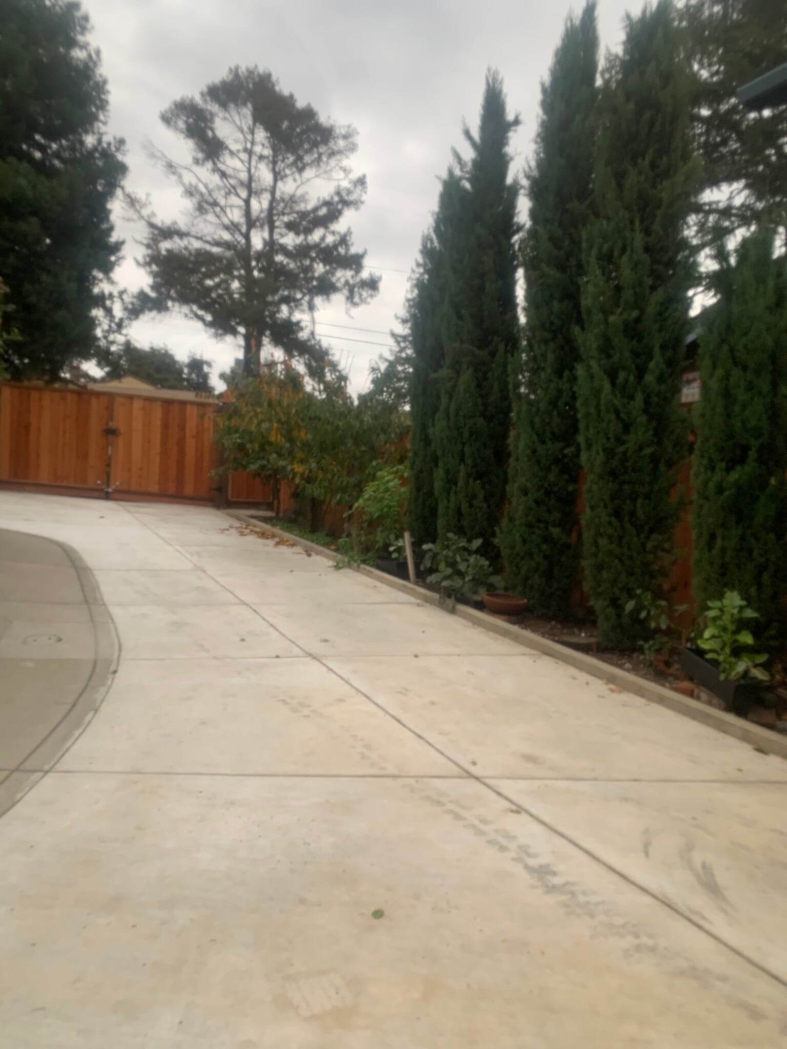 Building Photo - 22417 Charlene Way