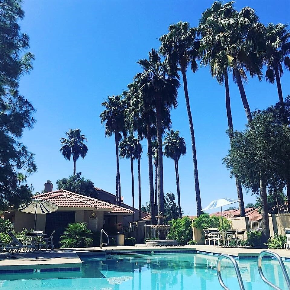 Pool + Spa - 11515 N 91st St