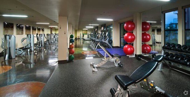 Fitness Center - Camden Belmont