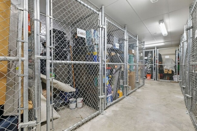 Building Photo - Welcome to Downtown Living with a view