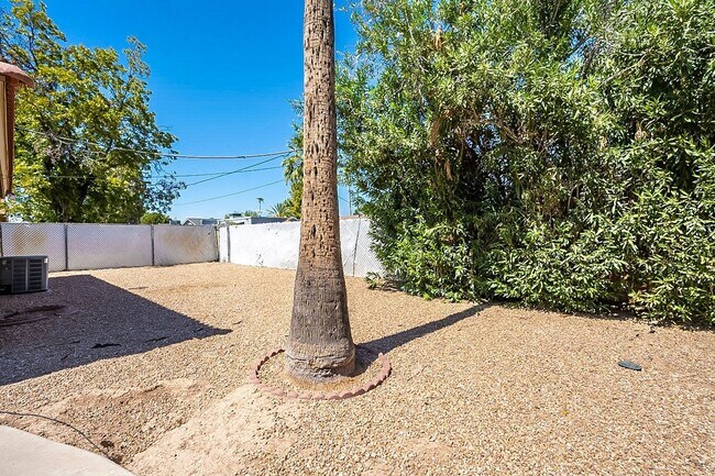 Building Photo - South Scottsdale with Views of Camelback!