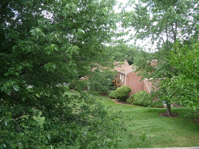 Building Photo - 706 Meadow Woods Ln