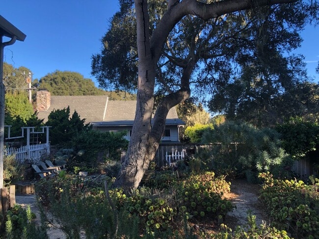 Building Photo - Historic 2-bedroom, 1.5 bath home in the h...
