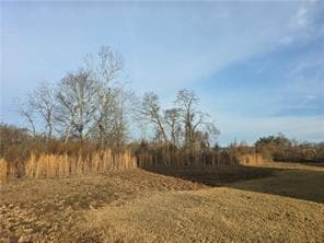 Building Photo - 647 Skye Dr