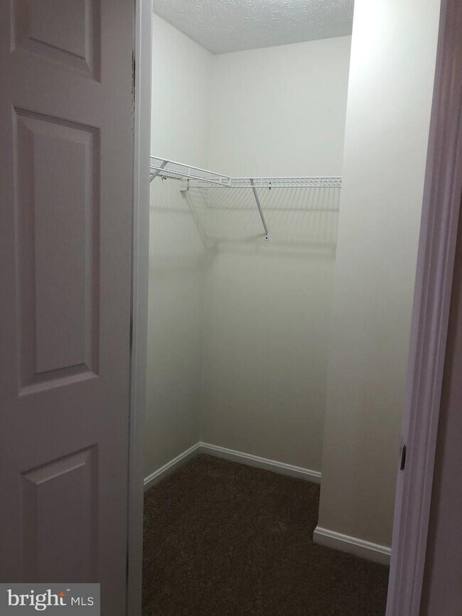 Building Photo - 2908 Sorrell Ct