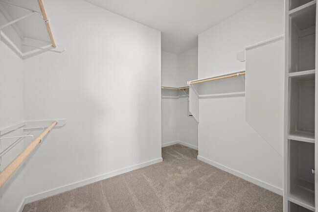 Building Photo - 28947 Rustic Robin Ln