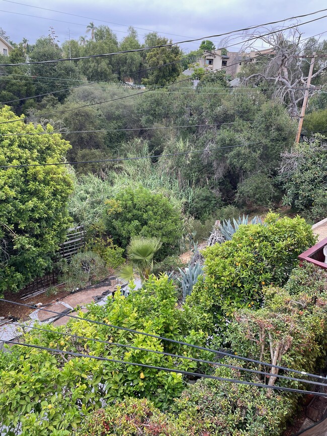 View 3 - terraced backyard to canyon - 5456 Gilbert Dr