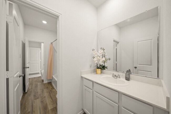 Building Photo - 3019 Live Springs Ct