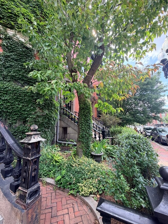Building Photo - 470 Massachusetts Ave