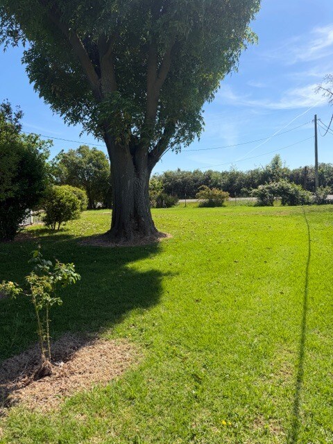 Building Photo - 10861 Live Oak Rd