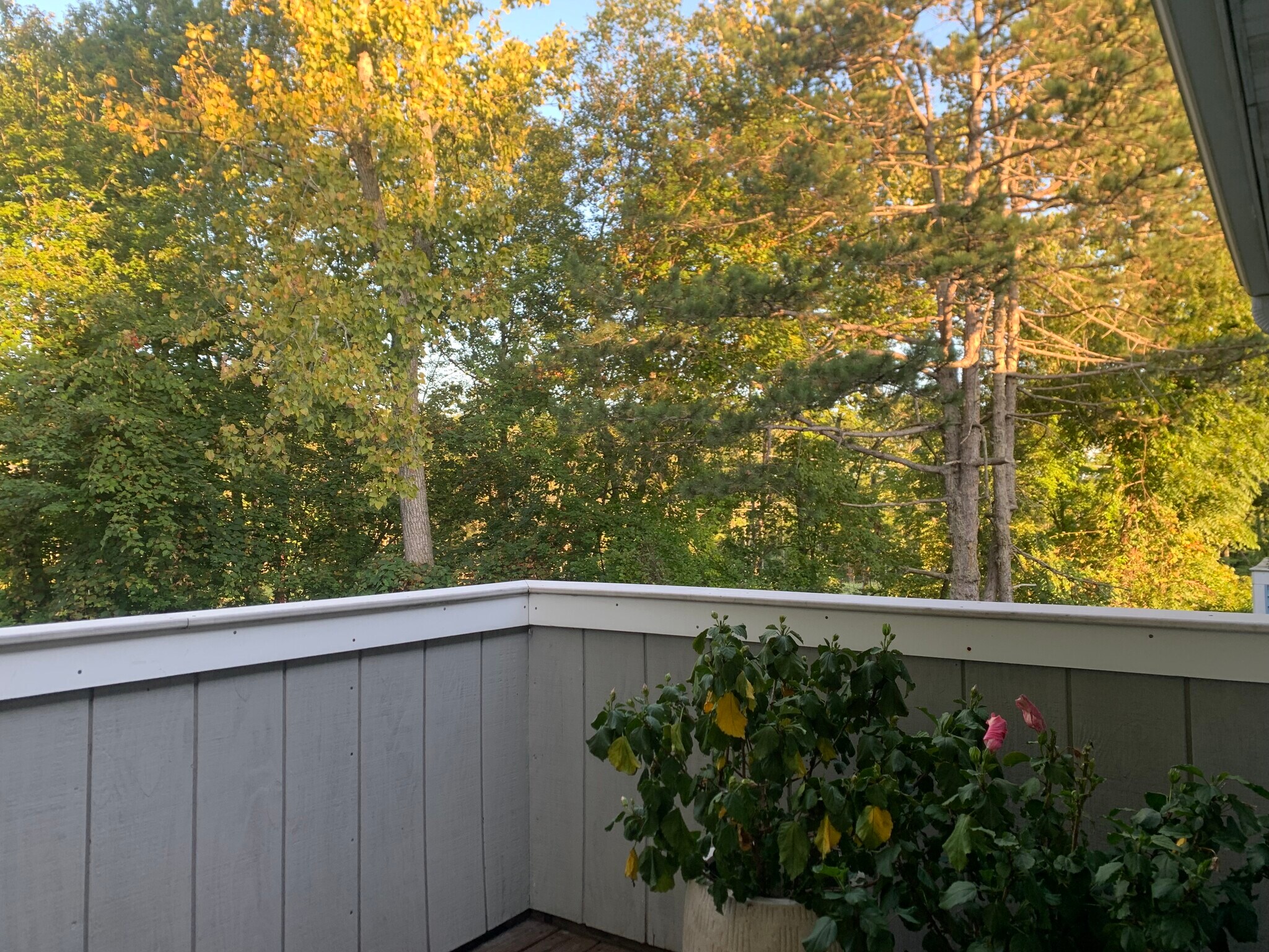 Building Photo - 1309 Sunfield Dr