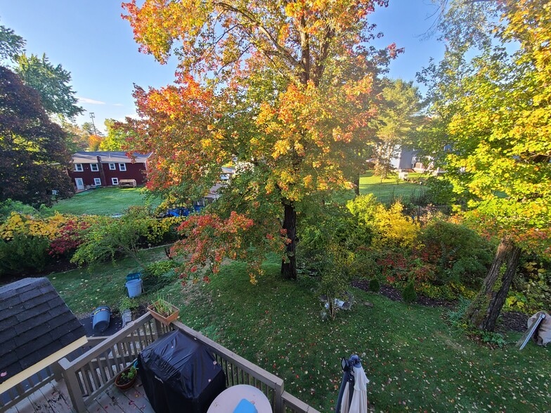 back yard - 55 Newport Ave