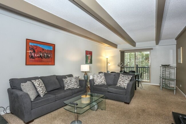 Building Photo - 2 bed, 2 bath in Breckenridge! Winter seas...