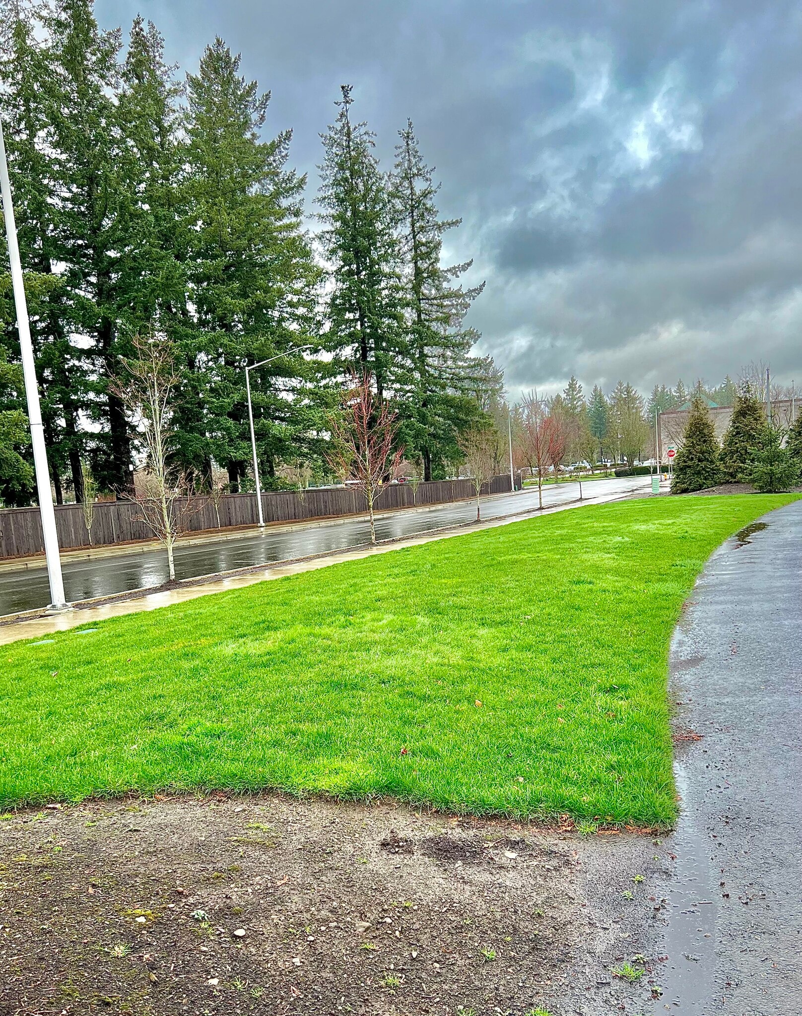 Greens areas - 720 NE 138th Pl