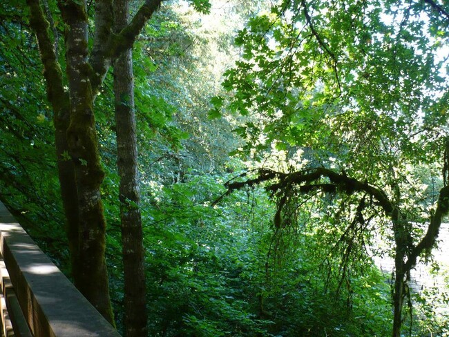 Building Photo - One Bedroom Loft A-frame Nestled In The Trees