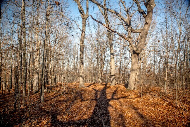 Building Photo - 4 Bedroom Hunting Lodge in Climax Springs