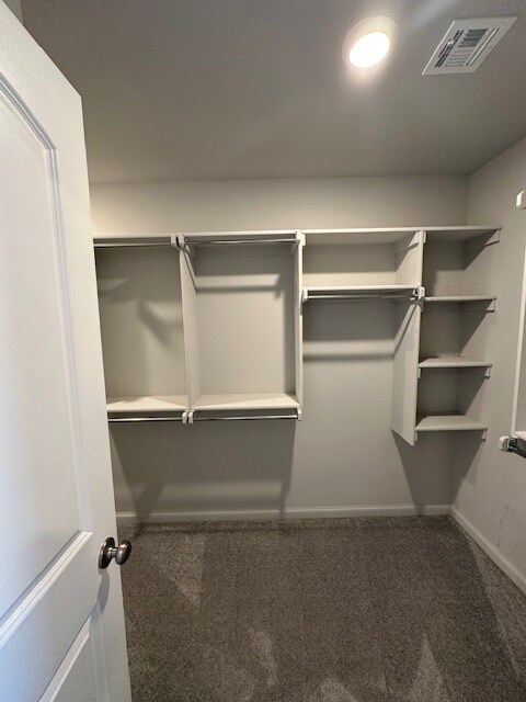 Building Photo - 10505 Turtle Back Dr