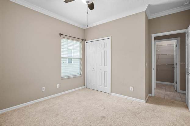 Building Photo - 1114 White Moss Ln