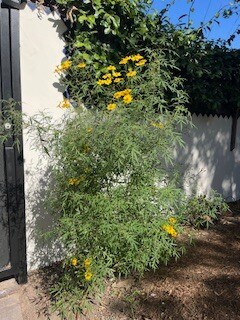 Building Photo - 8302 S Sepulveda Blvd