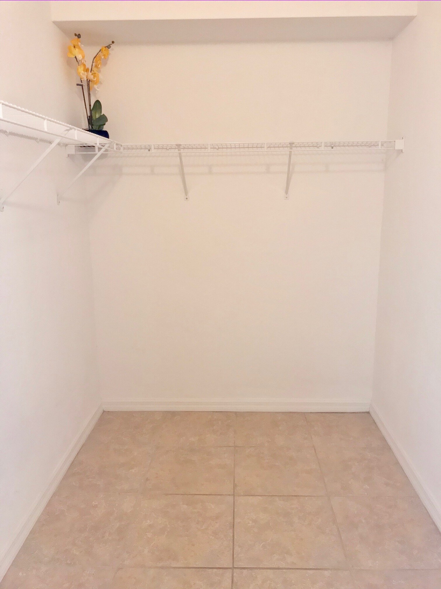 Building Photo - 8342 Bernwood Cove Loop