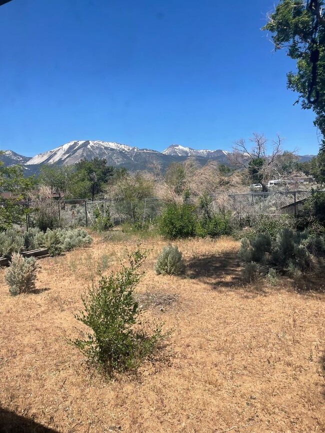 Building Photo - Available NOW!....Washoe Valley Family Hom...