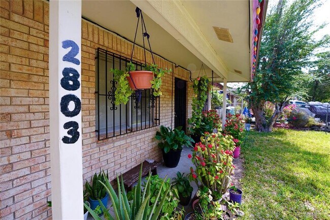 Building Photo - 27 Minnie Ave