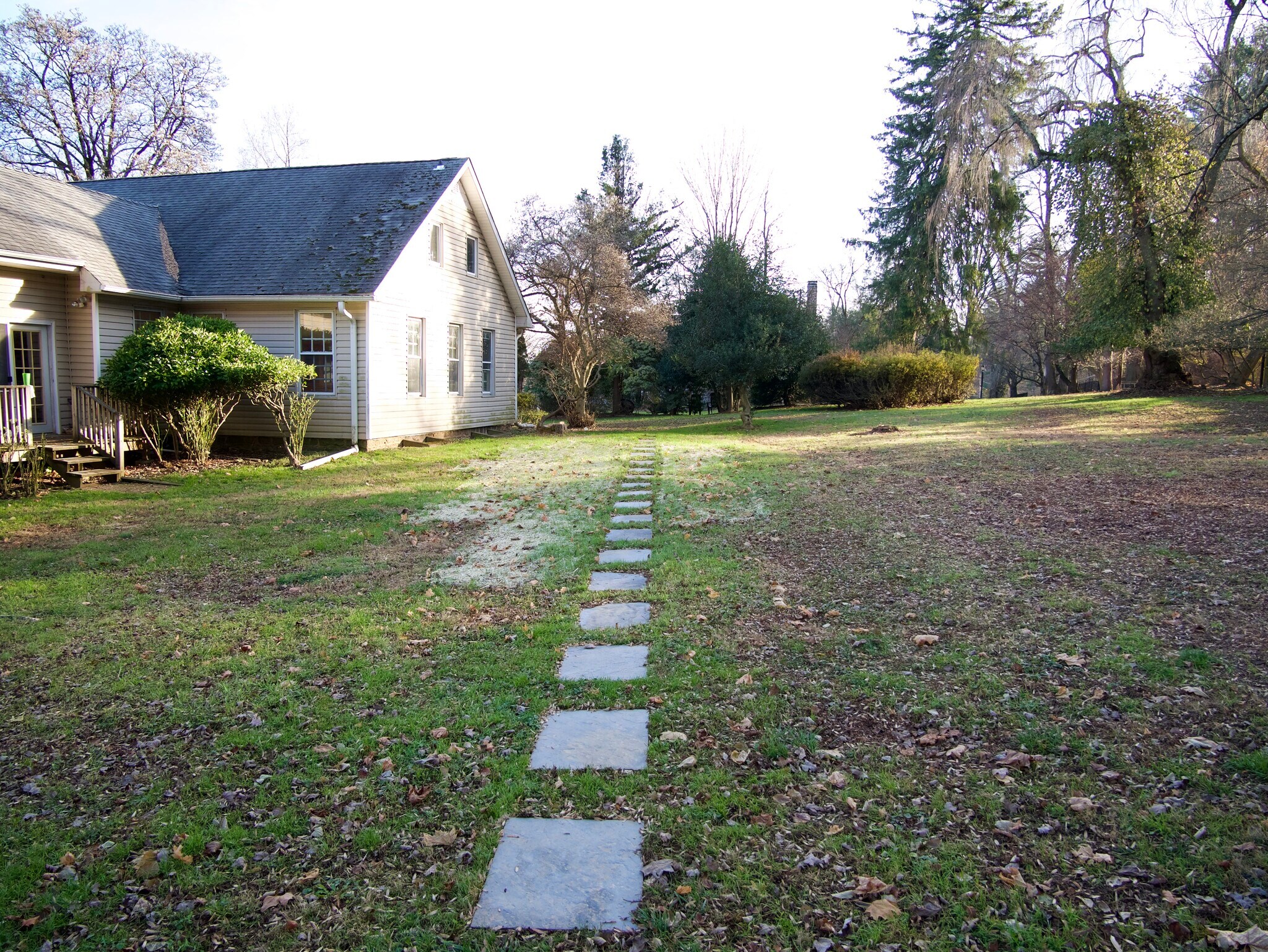 path from 2 car parking - 317 Waterloo Ave